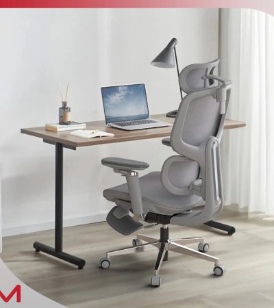 D2 Pro High Back Ergonomic Home Office Chair With DTS Self-Adaptive Lumbar Support, Multi-Adjustable Armrest, Wire Controlled Design, Footrest, 4D Headrest Mesh Office Computer Chair