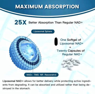 Abronikey NAD Cell Regenerator And Resveratrol Elite Nads Niacinamide Riboside Supplement With Trans Resveratrol, Quercetin, Energy,Focus 90 Capsule Dietary - Image 6