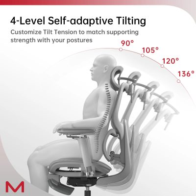 D2 Pro High Back Ergonomic Home Office Chair With DTS Self-Adaptive Lumbar Support, Multi-Adjustable Armrest, Wire Controlled Design, Footrest, 4D Headrest Mesh Office Computer Chair - Image 5