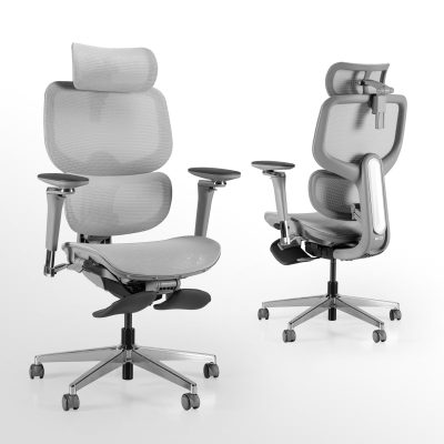 D2 Pro High Back Ergonomic Home Office Chair With DTS Self-Adaptive Lumbar Support, Multi-Adjustable Armrest, Wire Controlled Design, Footrest, 4D Headrest Mesh Office Computer Chair - Image 4