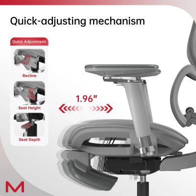 D2 Pro High Back Ergonomic Home Office Chair With DTS Self-Adaptive Lumbar Support, Multi-Adjustable Armrest, Wire Controlled Design, Footrest, 4D Headrest Mesh Office Computer Chair - Image 10
