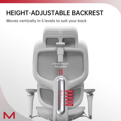 D2 Pro High Back Ergonomic Home Office Chair With DTS Self-Adaptive Lumbar Support, Multi-Adjustable Armrest, Wire Controlled Design, Footrest, 4D Headrest Mesh Office Computer Chair - Image 6