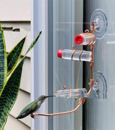 Garden Bird Feeder Supplies Hummingbird Feeder Drinker Suction Cup Easy To Clean Deck Garden Decor Bird Feeders for Wild Birds