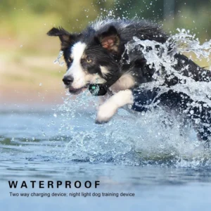 1pc-800m-LCD-Dog-Training-Collar-Remote-Control-Pet-Bark-Stopper-Dog-Waterproof-Electric-Training-Collars-3.webp