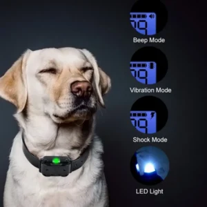 800m-Digital-Dog-Training-Collar-Waterproof-Rechargeable-Remote-Control-Pet-with-LCD-Display-for-All-Size-5.webp