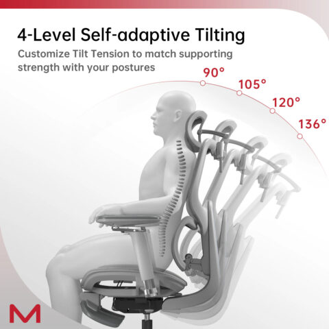 D2 Pro High Back Ergonomic Home Office Chair With DTS Self-Adaptive Lumbar Support, Multi-Adjustable Armrest, Wire Controlled Design, Footrest, 4D Headrest Mesh Office Computer Chair - Image 5