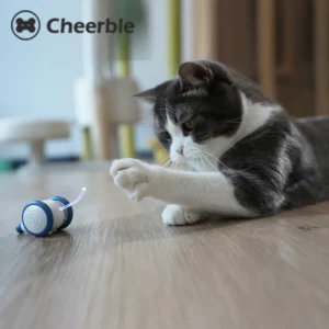 Cat-Training-Toy-Mouse-Intelligent-Pet-Toy-Automatic-Charging-And-Boredom-Relieving-Tool-Cat-Teasing-Stick.webp