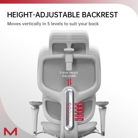 D2 Pro High Back Ergonomic Home Office Chair With DTS Self-Adaptive Lumbar Support, Multi-Adjustable Armrest, Wire Controlled Design, Footrest, 4D Headrest Mesh Office Computer Chair - Image 6
