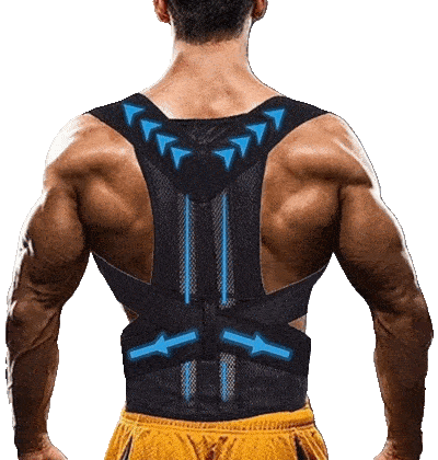 back support