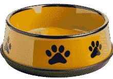 pet_icon