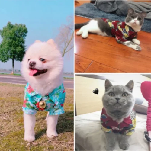 Small and medium-sized dog beach pineapple shirt Hawaiian pet dog cat golden retriever spring and summer season clothing 3