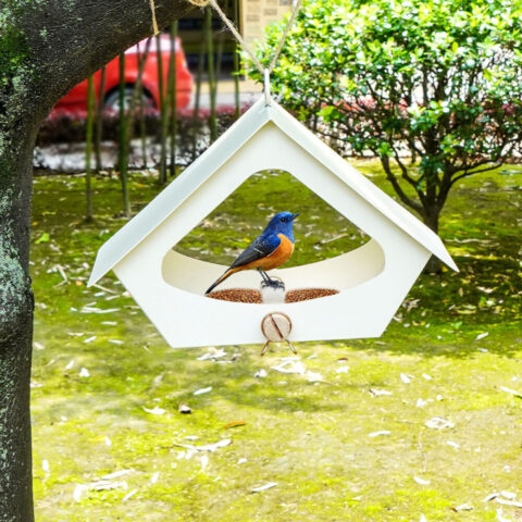 European Style Simple Iron Bird Food Anti-rain Outdoor Courtyard Decoration Bird Nest