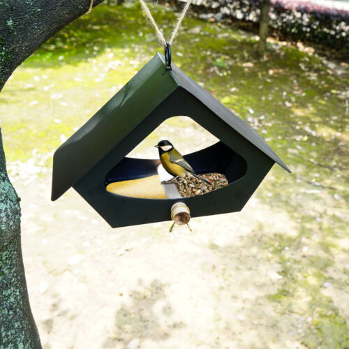 European-style Simple Iron Bird Food Anti-rain Outdoor Courtyard Decoration Bird Nest - Image 7
