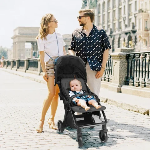 Standard Stroller Seat, Foldable Portable Newborn Stroller ,Luxury Baby Carriage Suit Baby,Toddlers,360°Swivel Seat - Image 6